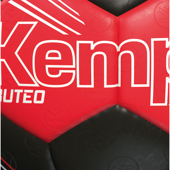 Kempa Buteo