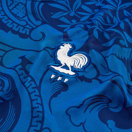 Nike Frankrijk Thuis Shirt Dames