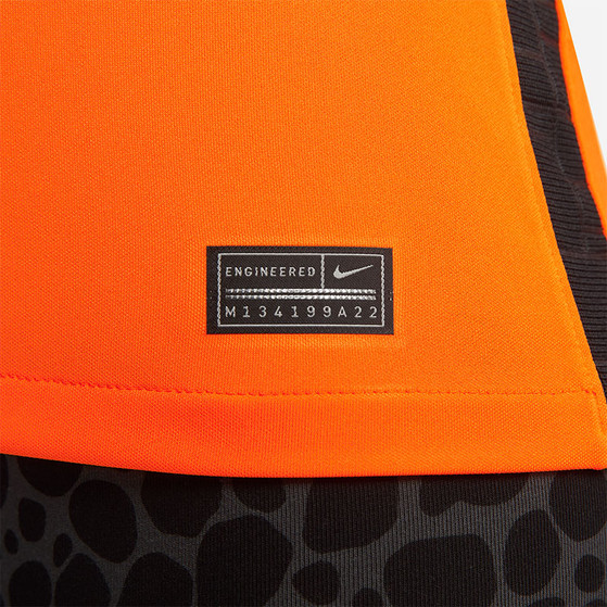 Nike Nederland Thuis Tenue Dames