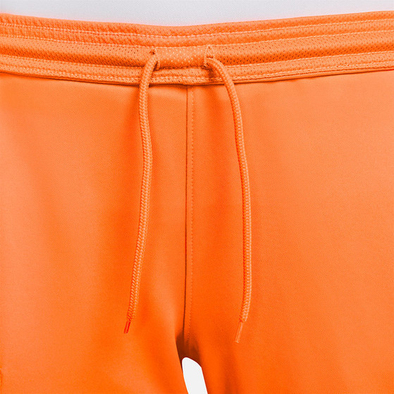 Nike Nederland Thuis Tenue Dames