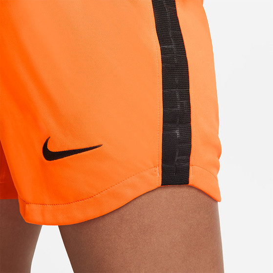 Nike Nederland Thuis Tenue Dames