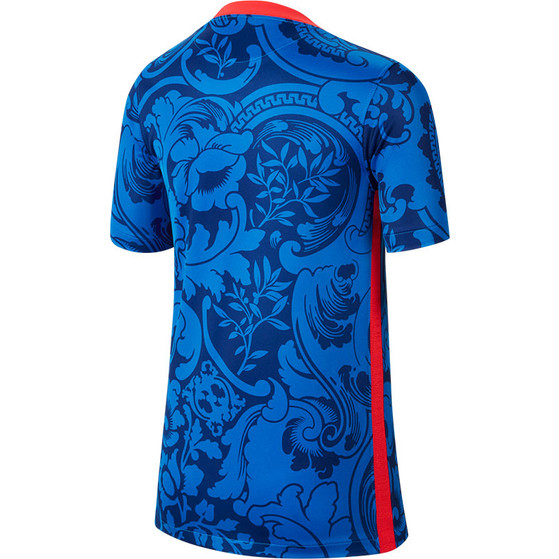 Nike Frankrijk Thuis Shirt Kids