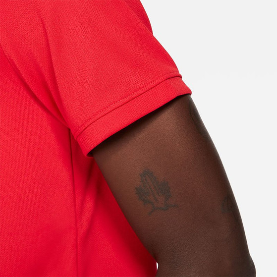 Nike Court Dry Blade Victory Polo