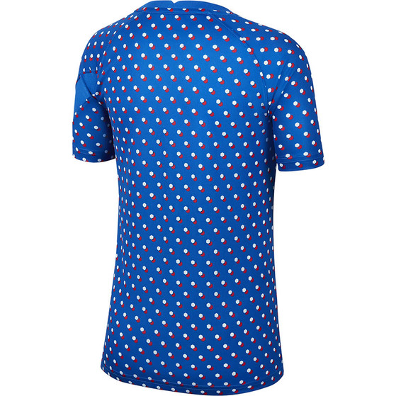 Nike Frankrijk Pre-Match Shirt