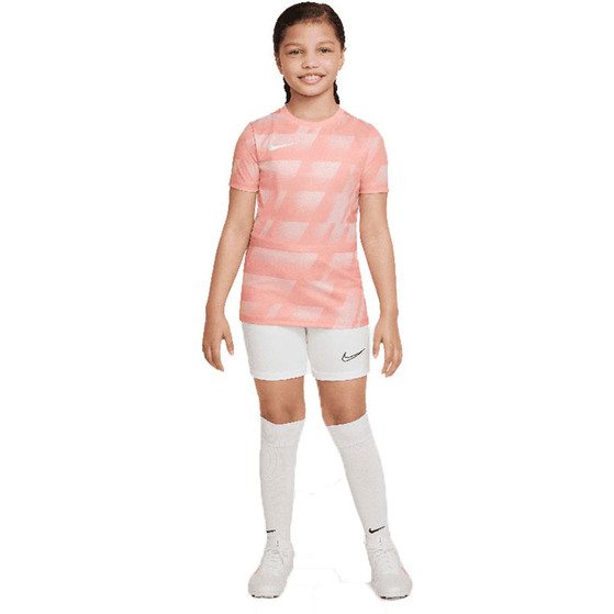Nike F.C. Libero Sommarset Barn

