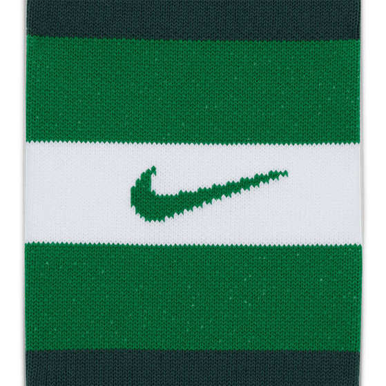 Nike Nigeria Thuis Sokken