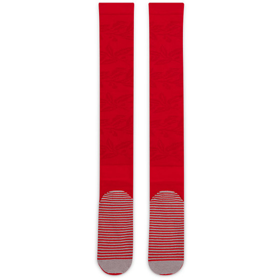 Nike Frankrijk Thuis Sokken