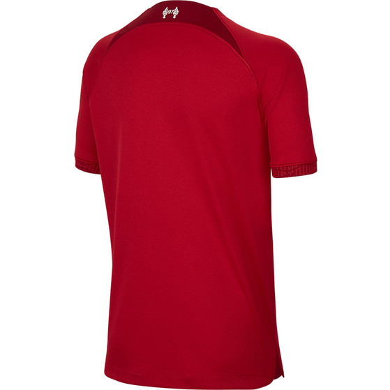 Nike Liverpool Thuis Tenue Kids