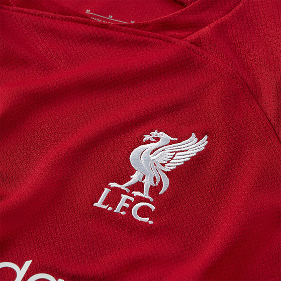 Nike Liverpool Thuis Tenue Kids