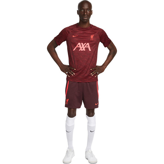 Nike Liverpool Strike Short 2022-2023