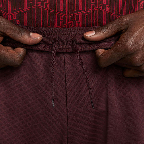 Nike Liverpool Strike Short 2022-2023