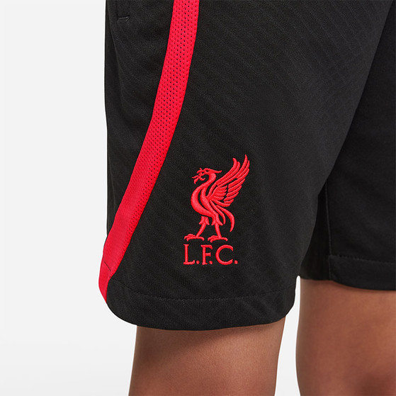 Nike Liverpool Strike Trainingsset Kids