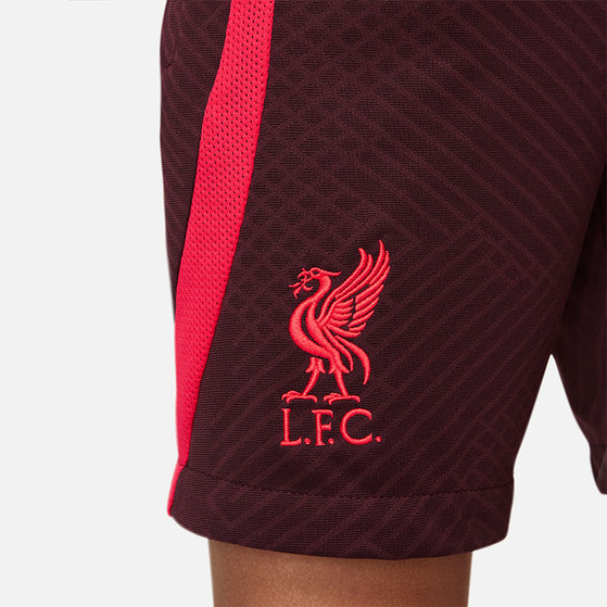 Nike Liverpool Strike Short Kids 2022-2023