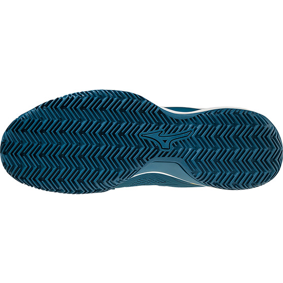 Mizuno Wave Intense Tour 5 Clay Heren