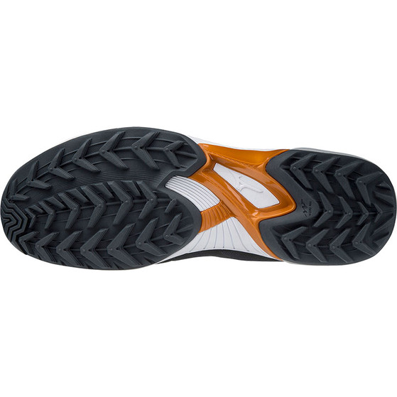 Mizuno Wave Panthera