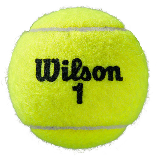 Wilson Roland Garros Official 4 Bier-Pack