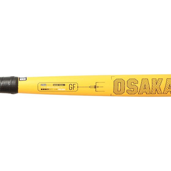 Osaka Vision Pro Bow Indoor