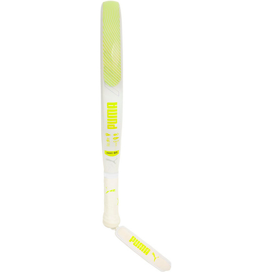 Puma Solar Attack Control