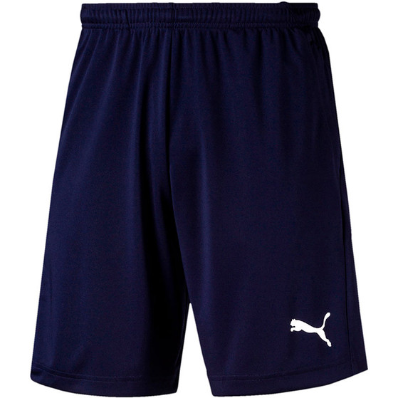 Puma Goal 23 Training Short