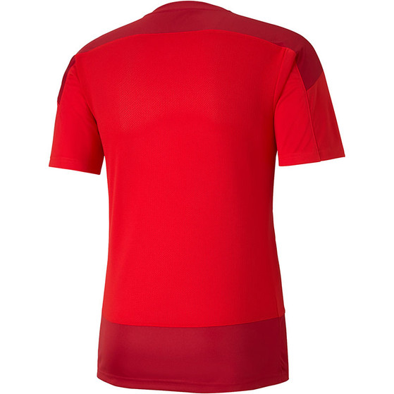 Puma Goal 23 Training Shirt