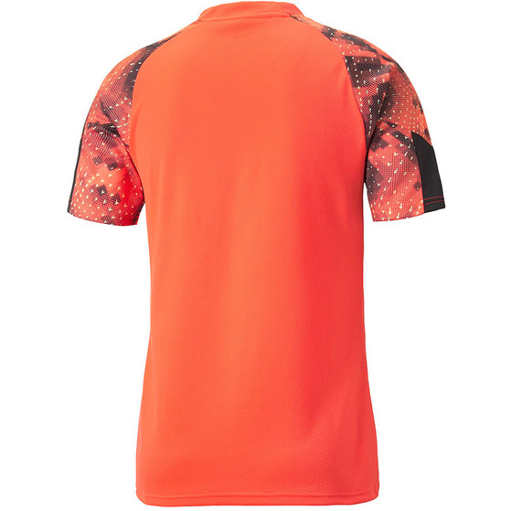 Puma FINAL Training Shirt
