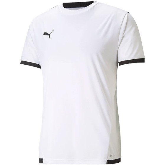 Puma LIGA Trainingsset