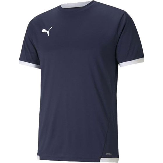 Puma LIGA Trainingsset