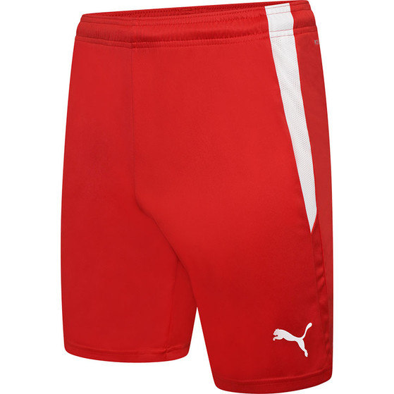 Puma LIGA Trainingsset