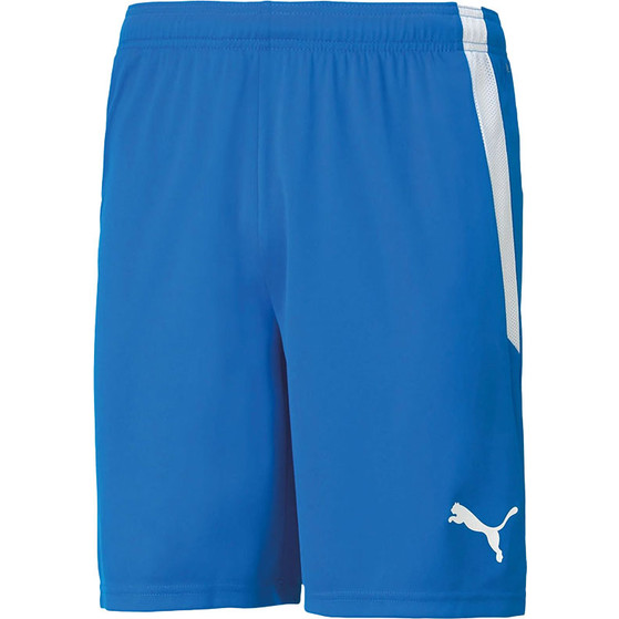 Puma LIGA Trainingsset
