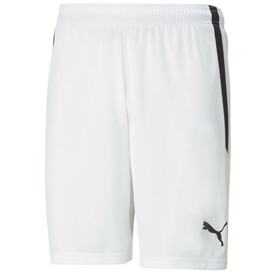 Puma LIGA Trainingsset