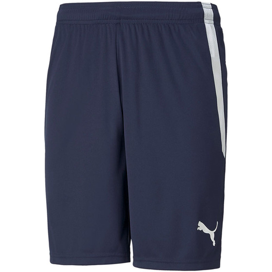 Puma LIGA Trainingsset