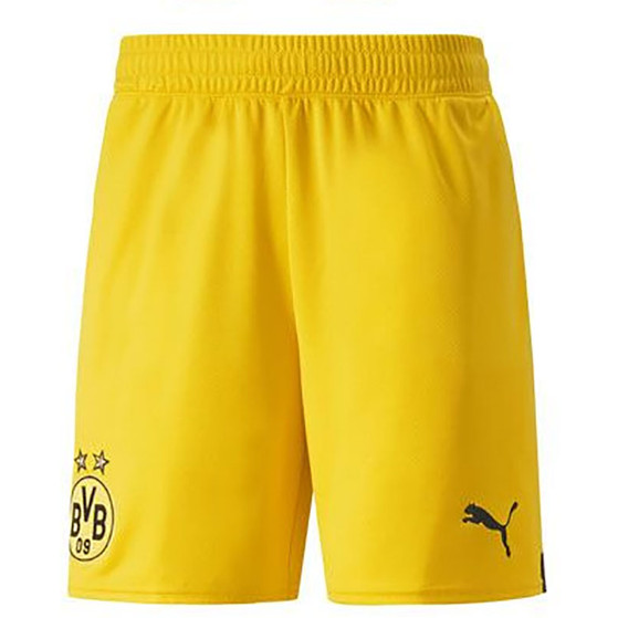 Puma Borussia Dortmund Thuis Tenue Kids