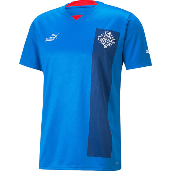 Puma Oostenrijk Trainingspak