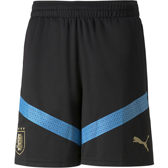 Puma Uruguay Training Short 2022/2023