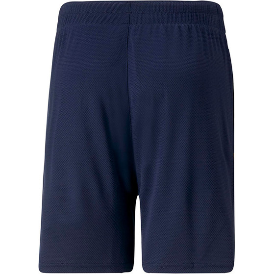 Puma Fenerbahce Training Short 2022/2023