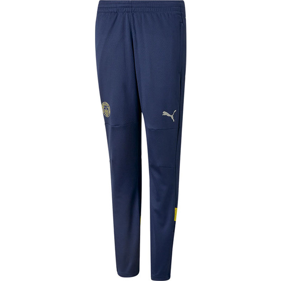 Puma Fenerbahce Trainingspak