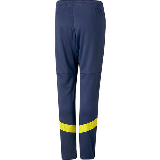 Puma Fenerbahce Trainingspak