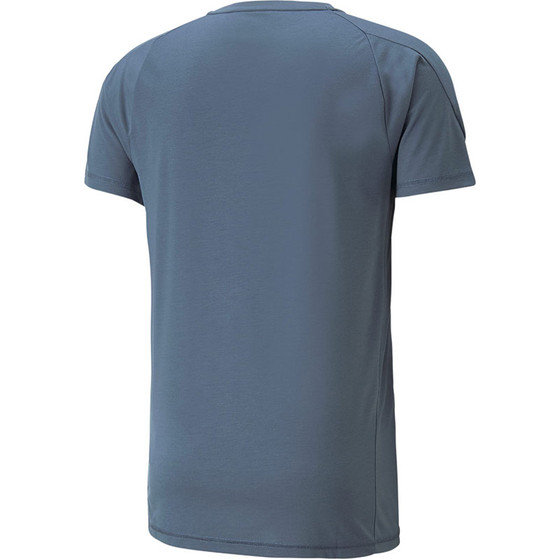 Puma Evostripe Training Shirt