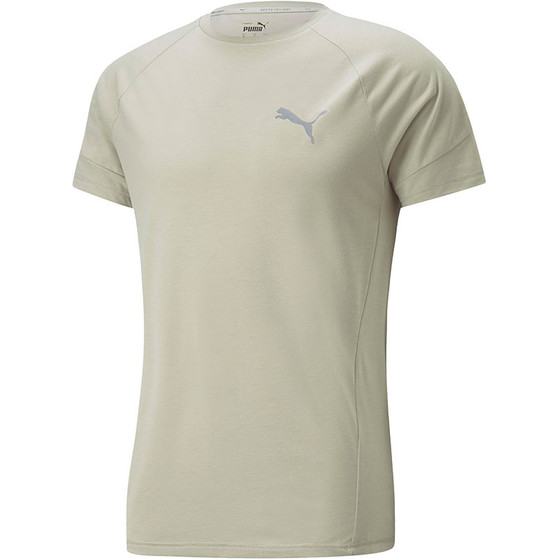 Puma Evostripe Training Shirt