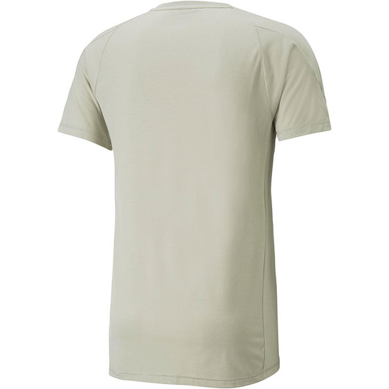 Puma Evostripe Training Shirt