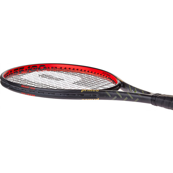 Prince TeXtreme Beast 100 - 300 Gr.