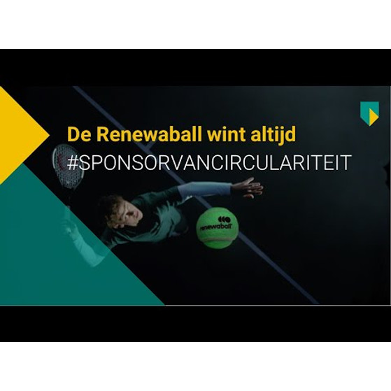 Renewaball 18x4 St. (6 Dozijn)