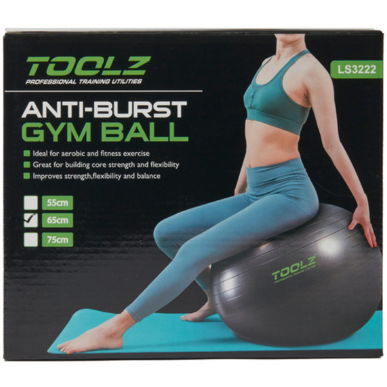 Toolz Gymnastic Ball 75 CM