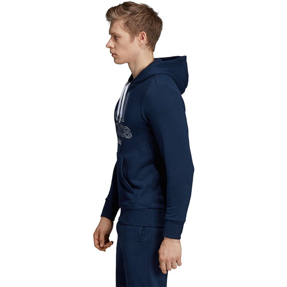 adidas Category Graphic Hoody