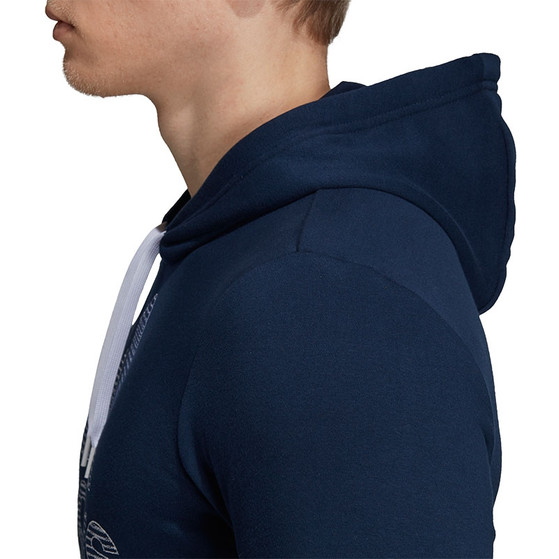 adidas Category Graphic Hoody