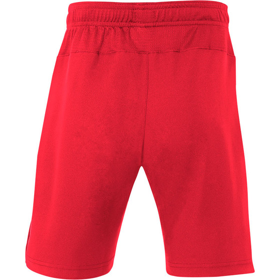 Nike Hockey Team Shorts Jungen