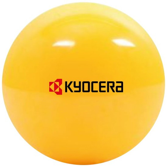 Kyocera Halle Wettkampfball