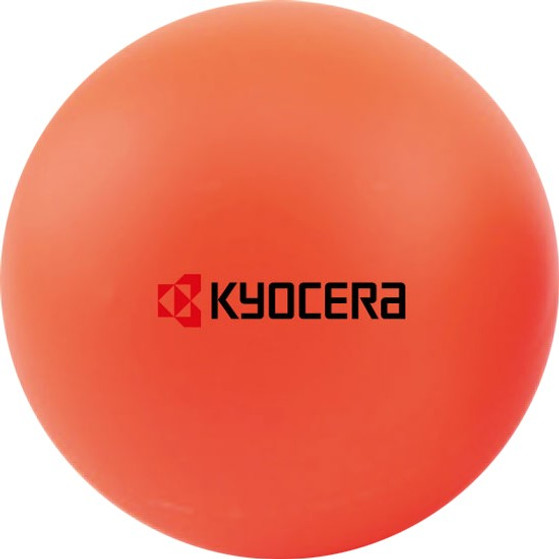Kyocera Halle Wettkampfball