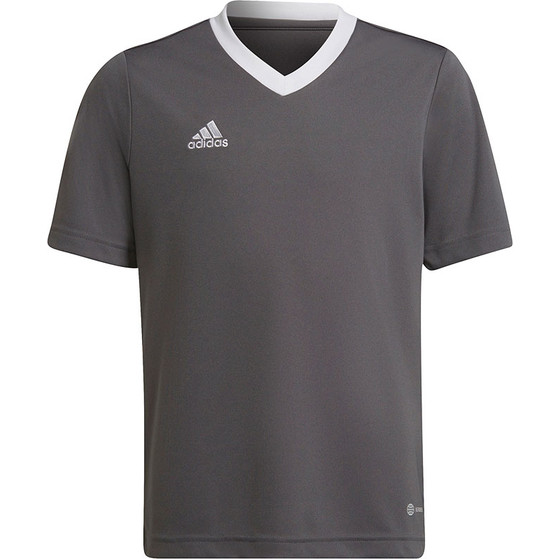 adidas Entrada 22 Trainingsshirt Kinder