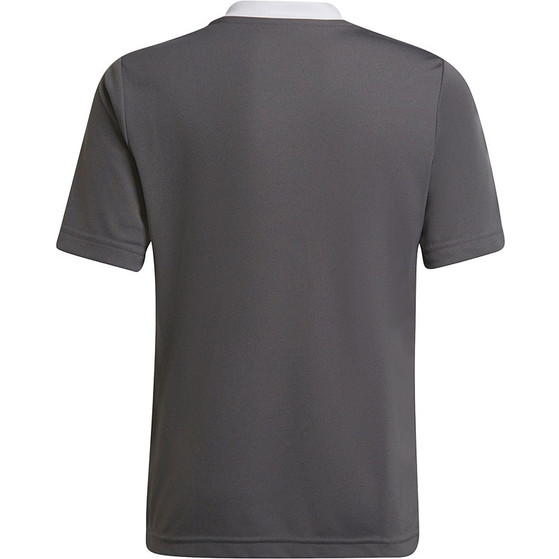 adidas Entrada 22 Trainingsshirt Kinder